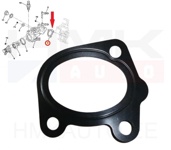 Termostaadi tihend OEM Citroen/Peugeot/Fiat DW8