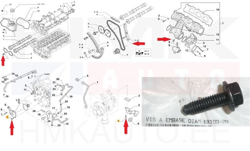 Turbo õlitoru kinnituspolt M6x1,00-L20 OEM Jumper/Boxer/Ducato 3,0HDi (ülemine)