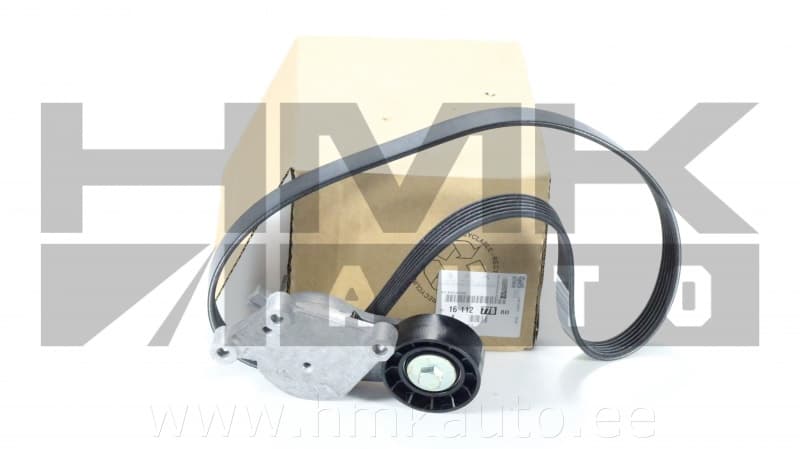 Mitmikkiilrihma komplekt OEM Citroen/Peugeot DV6DTED