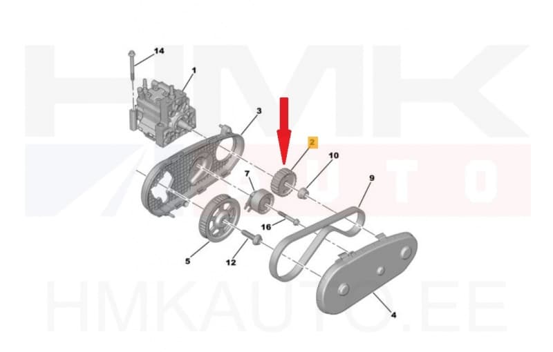 Kütusepumba rihmaratas OEM Citroen/Peugeot 2,7HDi Ø71