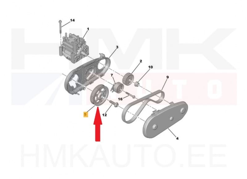 Kütusepumba rihmaratas OEM Citroen/Peugeot 2,7HDi Ø126