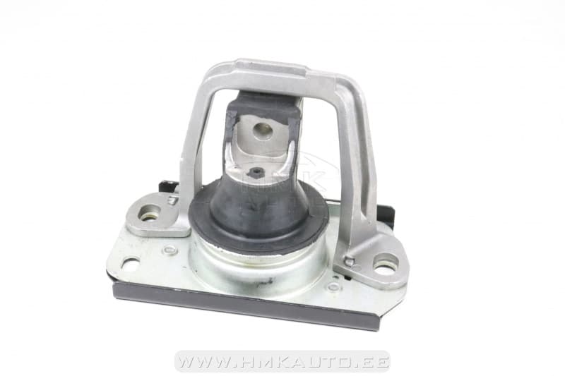 Mootoripadi parem Renault Trafic II