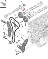 Nukkvõlli ketiratas, sisselase OEM Citroen/Peugeot EP-mootorid