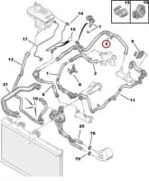 Jahutusvedeliku toru OEM Citroen/Peugeot 2,7HDi