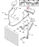 Jahutusvedeliku toru OEM Citroen/Peugeot EP6C