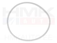 Kütusepumba kinnitusvõru tihend OEM Jumper/Boxer/Ducato