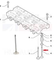 Klapp väljalase Citroen/Peugeot 2,2HDi