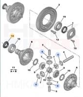 Veovõlli tihend parem OEM Citroen/Peugeot 32x50x10