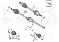 Veovõll komplektne parem Citroen Jumpy/Peugeot Expert 2016- (AM6/AMN8)