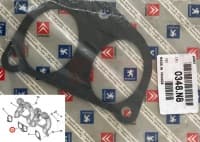 Sisselaskekollektori tihend OEM Citroen/Peugeot 1,9D DW8
