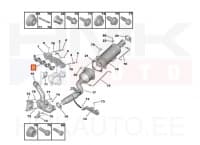 Väljalaskekollektori tihend OEM Citroen/Peugeot/Fiat 2,0HDi 16V