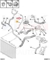 Paisupaagi ülevoolu toru OEM Citroen/Peugeot