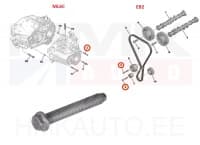 Polt M8x1,25-55 OEM Peugeot/Citroen