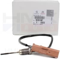 Väljalaskegaaside temperatuuri andur OEM Citroen/Peugeot