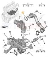 EGR toru tihend OEM Citroen/Peugeot