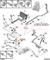 Jahutusvedeliku toru OEM Jumpy/Expert/Scudo 2007-2015