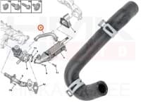 Jahutusvedeliku lõdvik EGR jahutile OEM Jumper/Boxer 2,2HDi 2011- Euro5