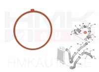Turbo õhutoru tihend OEM Citroen/Peugeot 1,5BlueHDi DV5R