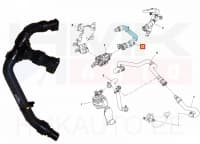 Jahutusvedeliku lõdvik OEM Renault Master 2,3dCi BiTurbo 132kW 2019-